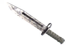 ★ Bayonet | Stained (Field-Tested)